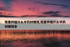 <b>������ֲʲô��ҩ��׬Ǯ,������ֲʲô��ҩ��׬Ǯ��</b>