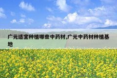 <b>��Ԫ������ֲ��Щ��ҩ��,��Ԫ��ҩ����ֲ����</b>