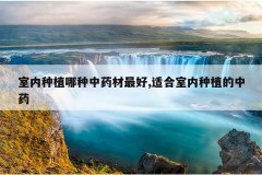 <b>������ֲ������ҩ�����,�ʺ�������ֲ����ҩ</b>