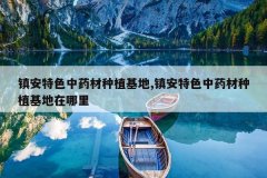 <b>����ɫ��ҩ����ֲ����,����ɫ��ҩ����ֲ����������</b>
