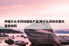 <b>��ֲʲô��ҩ�Ļ��ղ�Ʒ,��ʲôҩ�ĳ��ڴ������չ�</b>