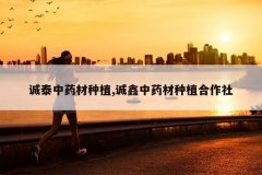 <b>��̩��ҩ����ֲ,������ҩ����ֲ������</b>