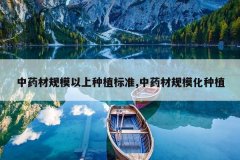 <b>��ҩ�Ĺ�ģ������ֲ��׼,��ҩ�Ĺ�ģ����ֲ</b>