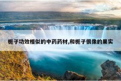 <b>���ӹ�Ч���Ƶ���ҩҩ��,�����Ӻ���Ĺ�ʵ</b>