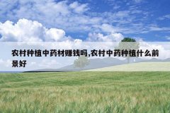 <b>ũ����ֲ��ҩ��׬Ǯ��,ũ����ҩ��ֲʲôǰ����</b>