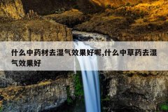 <b>ʲô��ҩ��ȥʪ��Ч������,ʲô�в�ҩȥʪ��Ч����</b>