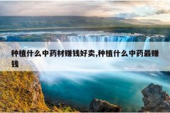 <b>��ֲʲô��ҩ��׬Ǯ����,��ֲʲô��ҩ��׬Ǯ</b>