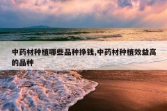 <b>��ҩ����ֲ��ЩƷ����Ǯ,��ҩ����ֲЧ��ߵ�Ʒ��</b>