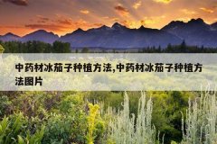 <b>��ҩ�ı�������ֲ����,��ҩ�ı�������ֲ����ͼƬ</b>