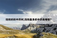 <b>��Ч�õ���ҩ��,��Ч������ҩ����Щ?</b>