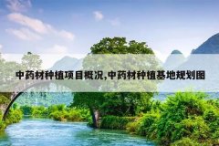 <b>��ҩ����ֲ��Ŀ�ſ�,��ҩ����ֲ���ع滮ͼ</b>