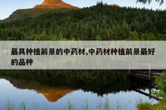 <b>�����ֲǰ������ҩ��,��ҩ����ֲǰ����õ�Ʒ��</b>