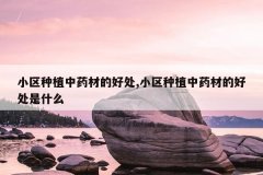 <b>С����ֲ��ҩ�ĵĺô�,С����ֲ��ҩ�ĵĺô���ʲô</b>