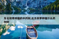 <b>�����＾��ֲ����ҩ��,�����＾��ֲʲôҩ�ĺ�</b>