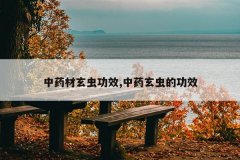 <b>��ҩ�����湦Ч,��ҩ����Ĺ�Ч</b>
