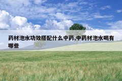 <b>ҩ����ˮ��Ч����ʲô��ҩ,��ҩ����ˮ������Щ</b>