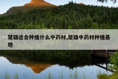 <b>�����ʺ���ֲʲô��ҩ��,������ҩ����ֲ����</b>