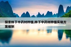 <b>̽��������ҩ����ֲ,������ҩ����ֲʵʩ��������</b>