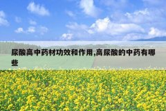 <b>�������ҩ�Ĺ�Ч������,���������ҩ����Щ</b>