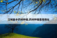 <b>��������ҩ����ֲ,ҩ����ֲ���ص�ַ</b>