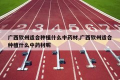 <b>���������ʺ���ֲʲô��ҩ��,���������ʺ���ֲʲô��ҩ����</b>