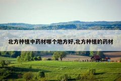 <b>������ֲ��ҩ���ĸ��ط���,������ֲ��ҩ��</b>