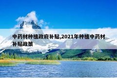 <b>��ҩ����ֲ��������,2021����ֲ��ҩ�Ĳ�������</b>