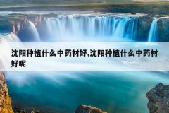 <b>������ֲʲô��ҩ�ĺ�,������ֲʲô��ҩ�ĺ���</b>