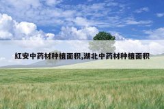 <b>�찲��ҩ����ֲ���,������ҩ����ֲ���</b>