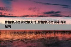 <b>��ֲ��ҩ��������֧��,��ֲ��ҩ�Ĺ����в�����</b>