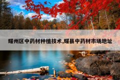 <b>ҫ������ҩ����ֲ����,ҫ����ҩ���г���ַ</b>