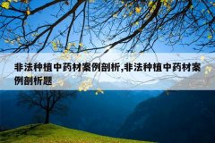 <b>�Ƿ���ֲ��ҩ�İ�������,�Ƿ���ֲ��ҩ�İ���������</b>