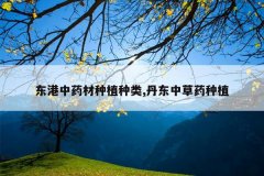 <b>������ҩ����ֲ����,�����в�ҩ��ֲ</b>