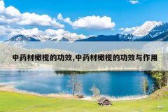 <b>��ҩ����魵Ĺ�Ч,��ҩ����魵Ĺ�Ч������</b>