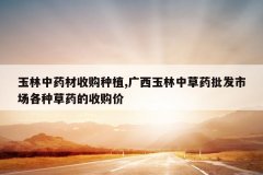 <b>������ҩ���չ���ֲ,���������в�ҩ�����г����ֲ�ҩ���չ���</b>