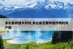 <b>��������ֲ��ҩ��,��������Ҫ��ֲ�����������</b>
