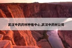 <b>�人��ҩҩ����ֲ����,�人��ҩ�Ĺ�˾</b>