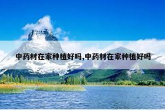 <b>��ҩ���ڼ���ֲ����,��ҩ���ڼ���ֲ����</b>