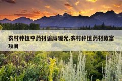 <b>ũ����ֲ��ҩ��ƭ���ع�,ũ����ֲҩ���¸���Ŀ</b>