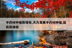 <b>��ҩ����ֲ������,������չ��ҩ����ֲ,��ũ������</b>