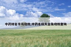 <b>��ҩ�������빦Ч,��ҩ���ƴ�ȫ����Ч��ѯ</b>