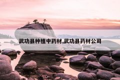 <b>�书����ֲ��ҩ��,�书��ҩ�Ĺ�˾</b>