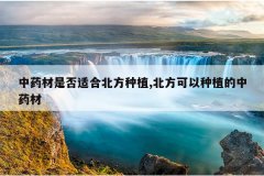 <b>��ҩ���Ƿ��ʺϱ�����ֲ,����������ֲ����ҩ��</b>