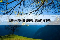 <b>������ҩ����ֲ����,����ҩ���г�</b>