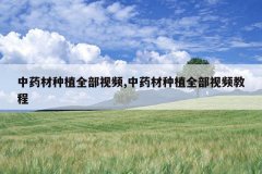 <b>��ҩ����ֲȫ����Ƶ,��ҩ����ֲȫ����Ƶ�̳�</b>