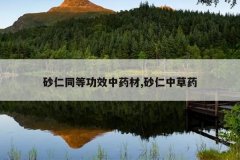 <b>ɰ��ͬ�ȹ�Ч��ҩ��,ɰ���в�ҩ</b>