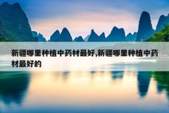 <b>�½�������ֲ��ҩ�����,�½�������ֲ��ҩ����õ�</b>