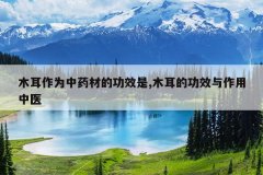 <b>ľ����Ϊ��ҩ�ĵĹ�Ч��,ľ���Ĺ�Ч��������ҽ</b>