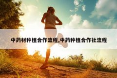 <b>��ҩ����ֲ��������,��ҩ��ֲ����������</b>