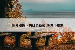 <b>ϴ��ֲ����ҩ�ĵĹ�Ч,ϴ���в�ҩ</b>